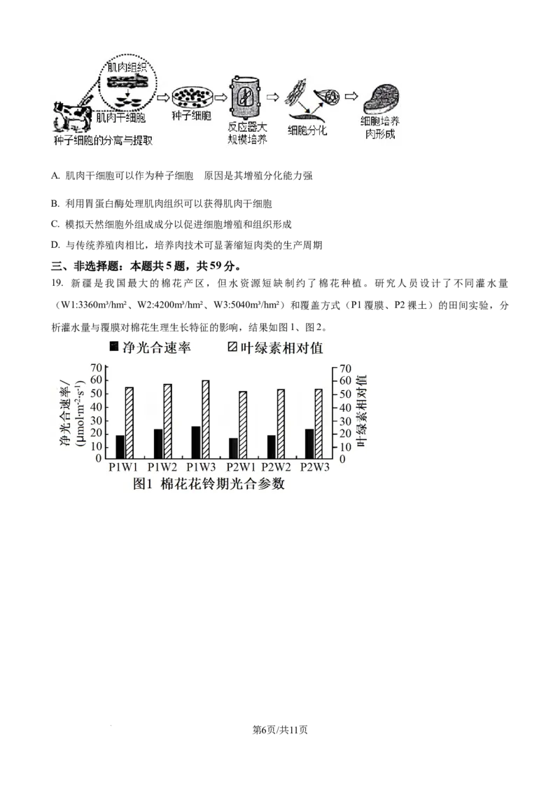 精品解析：河北省唐山市2025-2026学年高三上学期开学生物试题（原卷版）_2025年9月_250914河北省唐山市2025-2026学年度高三年级摸底演练（全科）