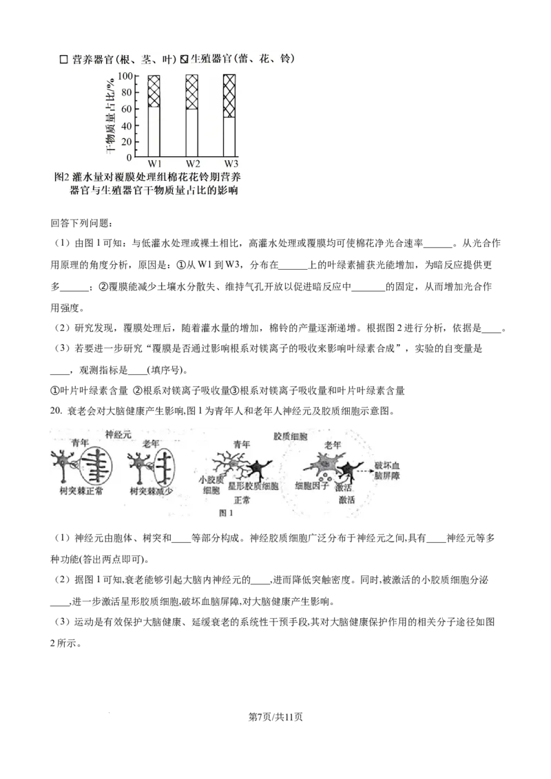 精品解析：河北省唐山市2025-2026学年高三上学期开学生物试题（原卷版）_2025年9月_250914河北省唐山市2025-2026学年度高三年级摸底演练（全科）