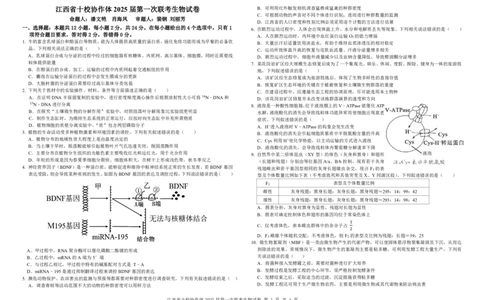 生物试卷_2025年1月_250112江西五市十校联考暨江西省十校协作体2025届高三第一次联考_江西省十校协作体2024-2025学年高三上学期第一次联考生物
