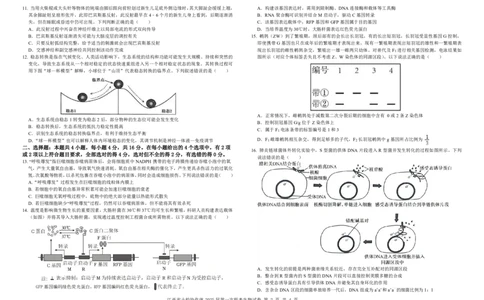 生物试卷_2025年1月_250112江西五市十校联考暨江西省十校协作体2025届高三第一次联考_江西省十校协作体2024-2025学年高三上学期第一次联考生物