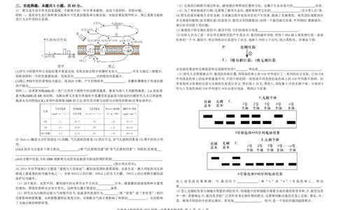 生物试卷_2025年1月_250112江西五市十校联考暨江西省十校协作体2025届高三第一次联考_江西省十校协作体2024-2025学年高三上学期第一次联考生物