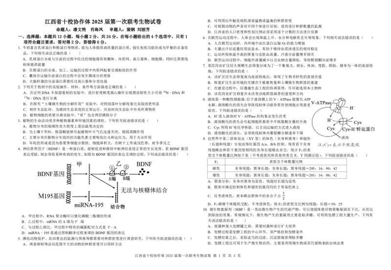 生物试卷_2025年1月_250112江西五市十校联考暨江西省十校协作体2025届高三第一次联考_江西省十校协作体2024-2025学年高三上学期第一次联考生物