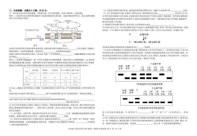 生物试卷_2025年1月_250112江西五市十校联考暨江西省十校协作体2025届高三第一次联考_江西省十校协作体2024-2025学年高三上学期第一次联考生物
