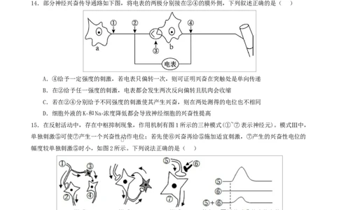 高二生物上学期第一次月考卷（湖南专用）高二生物第一次月考卷测试范围：选择性必修一1-2章（考试版）_1多考区联考试卷_2510142025-2026学年高二生物上学期第一次月考试题