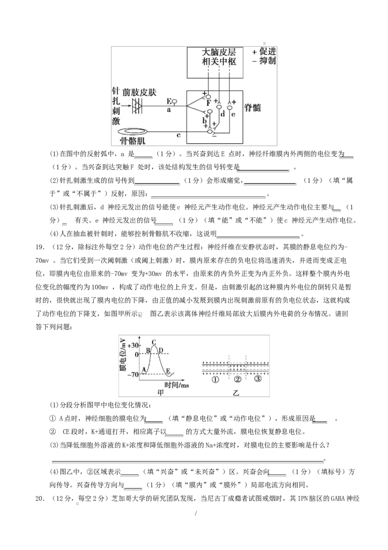 高二生物上学期第一次月考卷（湖南专用）高二生物第一次月考卷测试范围：选择性必修一1-2章（考试版）_1多考区联考试卷_2510142025-2026学年高二生物上学期第一次月考试题