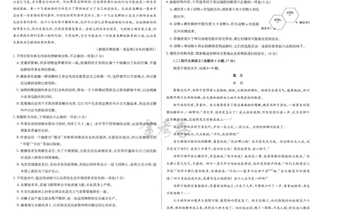 2024年天星 高考临考预测押题密卷 江苏专版 （语文）