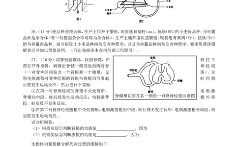 2003年重庆高考理综真题及答案_重庆物理24已更