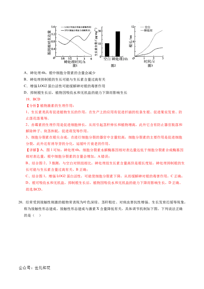 高二生物期中模拟卷（全解全析）（新八省通用）(1)_1多考区联考_1014高二期中模拟卷（新八省专用）黄金卷：2024-2025学年高二上学期期中模拟考试