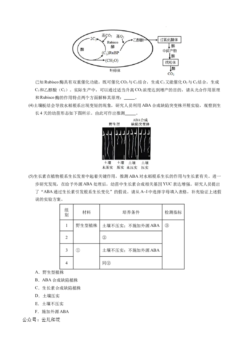 高二生物期中模拟卷（全解全析）（新八省通用）(1)_1多考区联考_1014高二期中模拟卷（新八省专用）黄金卷：2024-2025学年高二上学期期中模拟考试