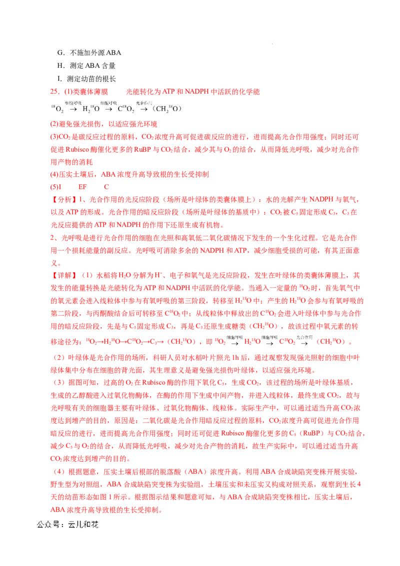 高二生物期中模拟卷（全解全析）（新八省通用）(1)_1多考区联考_1014高二期中模拟卷（新八省专用）黄金卷：2024-2025学年高二上学期期中模拟考试