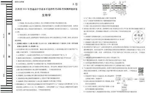 2024年天星高考临考预测押题密卷江西专版（生物）_2024高考押题卷_12024天星全系列_@@@天星临考押题密卷汇总重复_2024年tx高考临考押题密卷江西专版