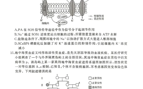 生物_2025年1月_250117百师联盟2025届高三一轮复习联考（五）（全科）_百师联盟2025届高三一轮复习联考（五）生物