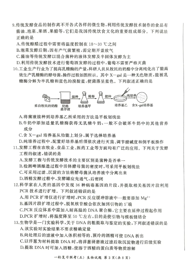 生物_2025年1月_250117百师联盟2025届高三一轮复习联考（五）（全科）_百师联盟2025届高三一轮复习联考（五）生物