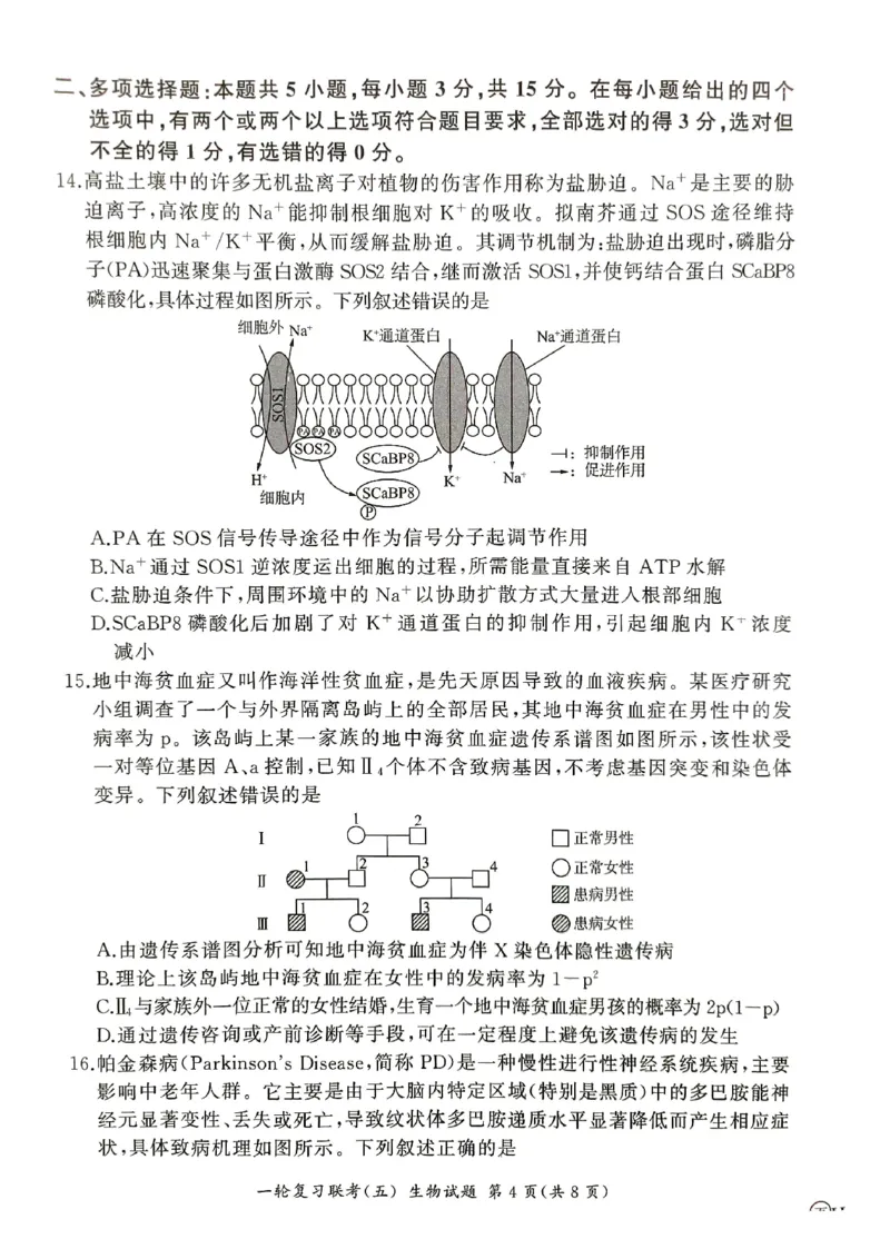 生物_2025年1月_250117百师联盟2025届高三一轮复习联考（五）（全科）_百师联盟2025届高三一轮复习联考（五）生物