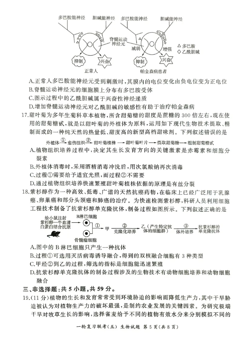 生物_2025年1月_250117百师联盟2025届高三一轮复习联考（五）（全科）_百师联盟2025届高三一轮复习联考（五）生物