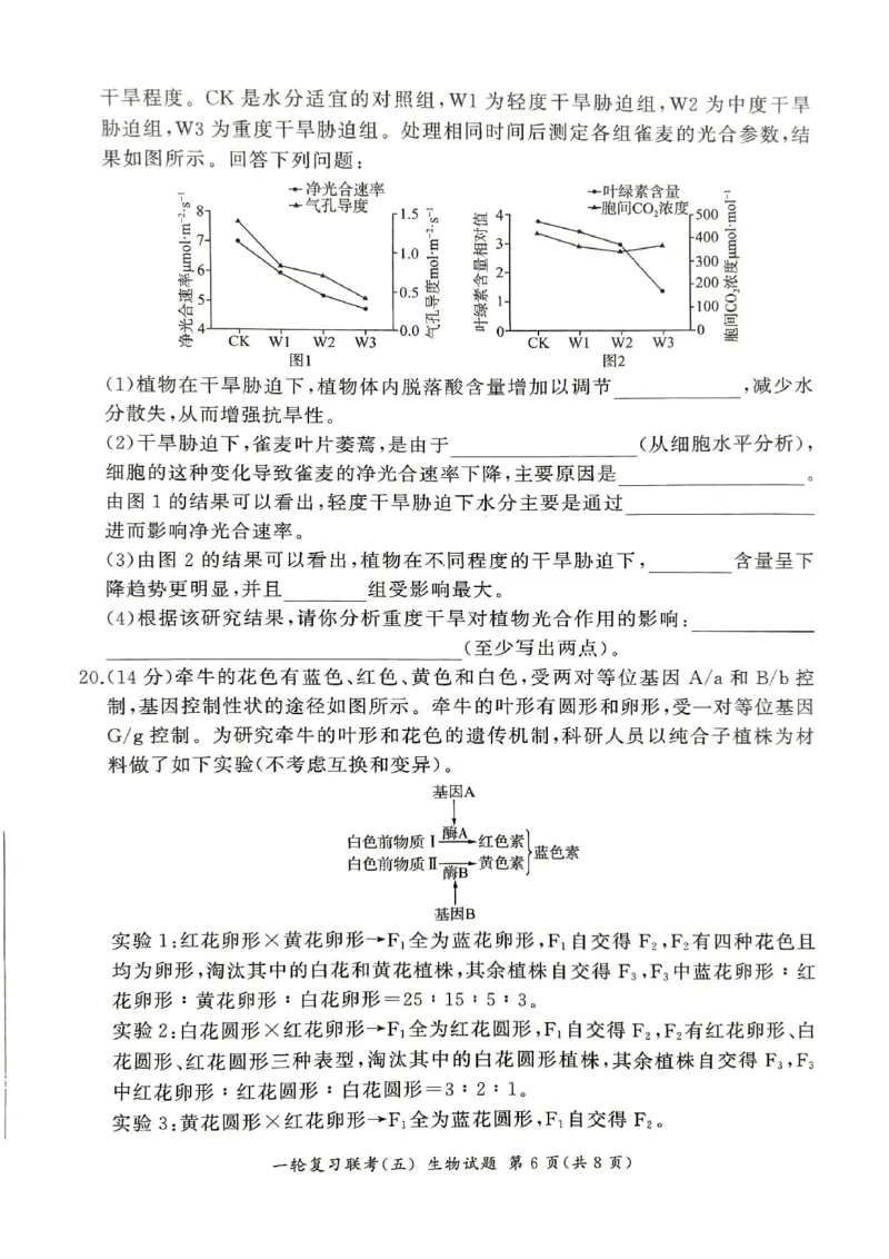 生物_2025年1月_250117百师联盟2025届高三一轮复习联考（五）（全科）_百师联盟2025届高三一轮复习联考（五）生物