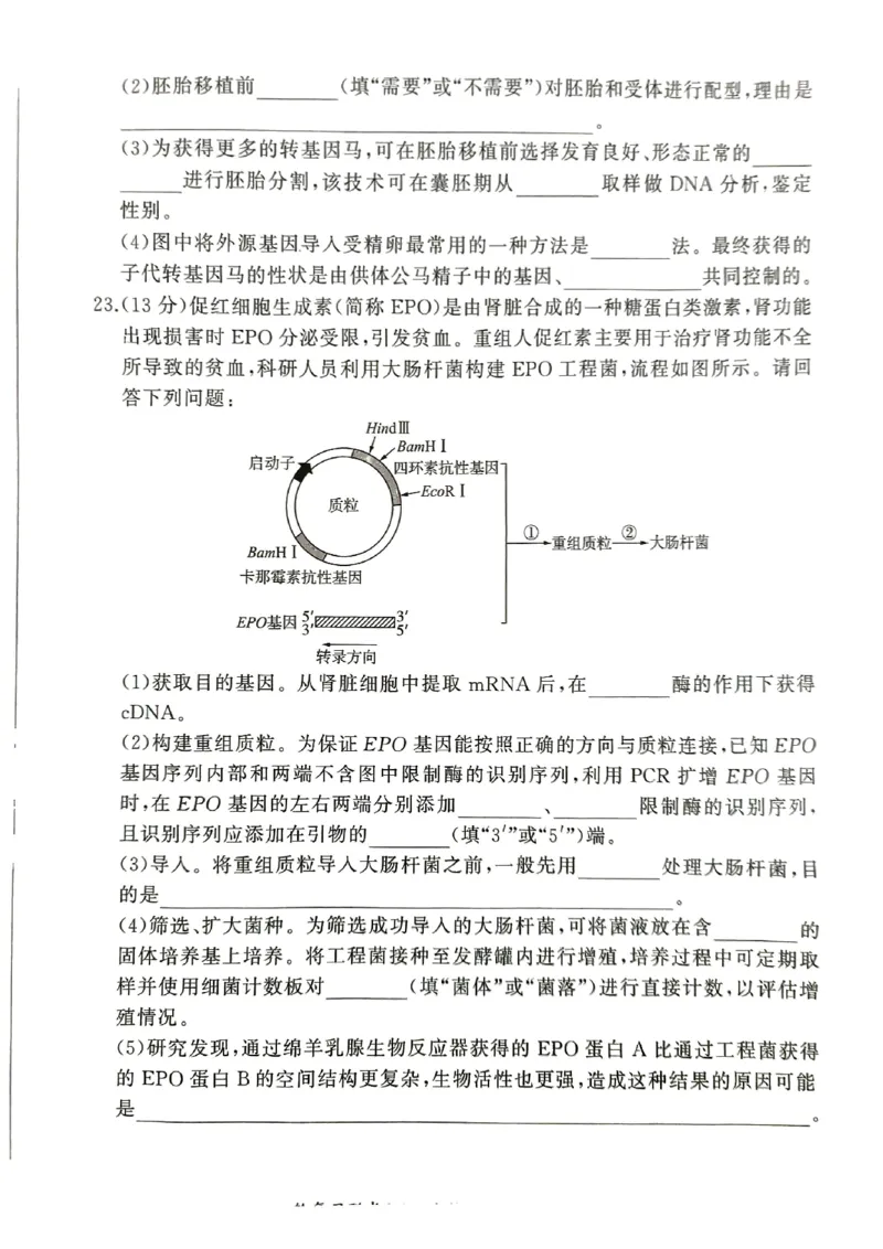生物_2025年1月_250117百师联盟2025届高三一轮复习联考（五）（全科）_百师联盟2025届高三一轮复习联考（五）生物