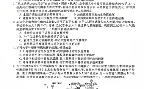 安徽省合肥市庐江县2024-2025学年高二下学期7月期末生物试题_2025年8月_250804安徽省合肥市庐江县2024-2025学年高二下学期期末（全科）