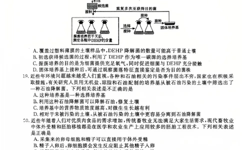 安徽省合肥市庐江县2024-2025学年高二下学期7月期末生物试题_2025年8月_250804安徽省合肥市庐江县2024-2025学年高二下学期期末（全科）