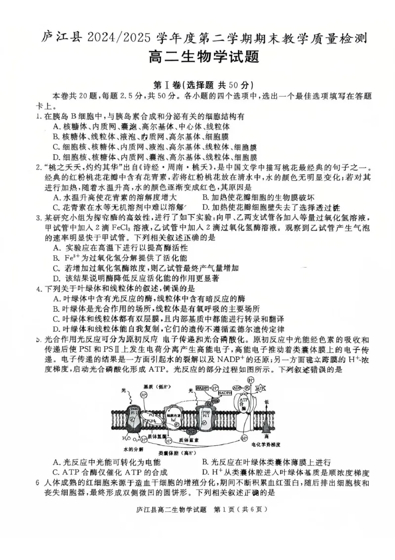 安徽省合肥市庐江县2024-2025学年高二下学期7月期末生物试题_2025年8月_250804安徽省合肥市庐江县2024-2025学年高二下学期期末（全科）
