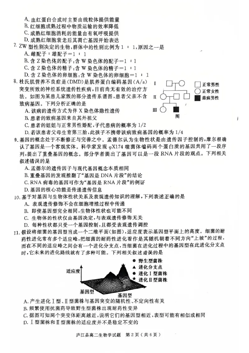 安徽省合肥市庐江县2024-2025学年高二下学期7月期末生物试题_2025年8月_250804安徽省合肥市庐江县2024-2025学年高二下学期期末（全科）