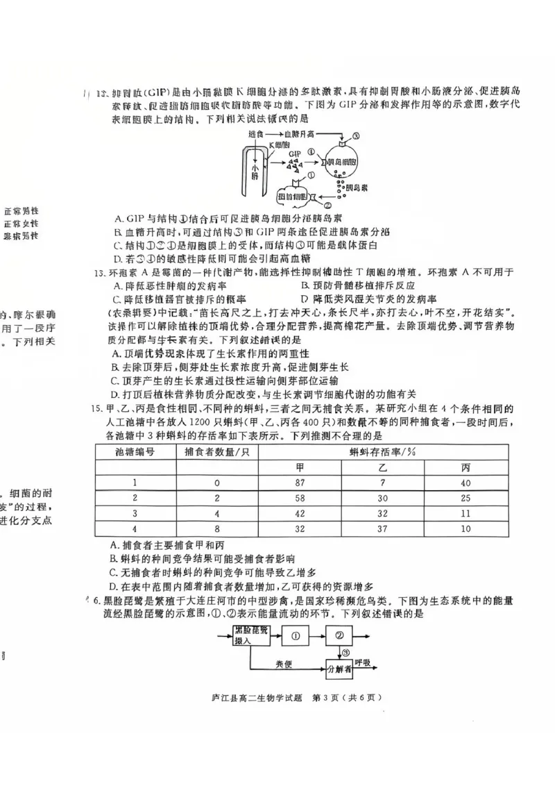 安徽省合肥市庐江县2024-2025学年高二下学期7月期末生物试题_2025年8月_250804安徽省合肥市庐江县2024-2025学年高二下学期期末（全科）
