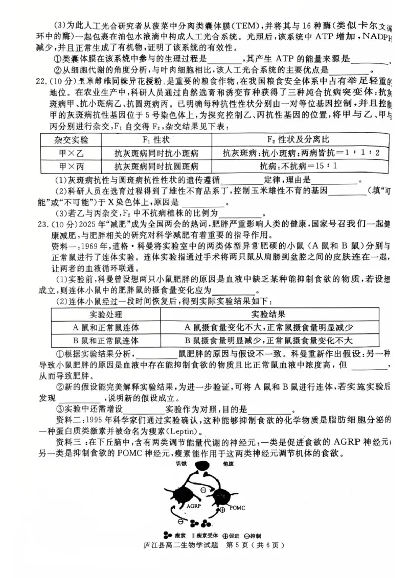 安徽省合肥市庐江县2024-2025学年高二下学期7月期末生物试题_2025年8月_250804安徽省合肥市庐江县2024-2025学年高二下学期期末（全科）