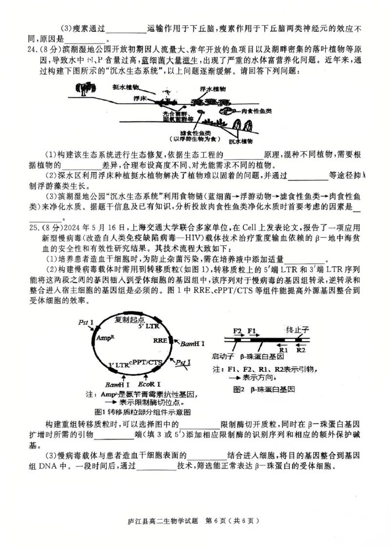 安徽省合肥市庐江县2024-2025学年高二下学期7月期末生物试题_2025年8月_250804安徽省合肥市庐江县2024-2025学年高二下学期期末（全科）