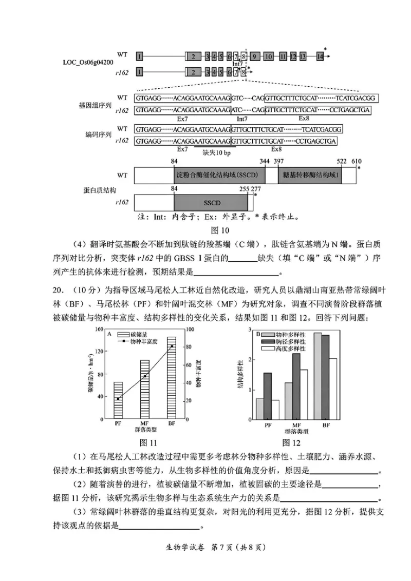 广东省2025届高三下学期3月综合能力测试（燕博园联考CAT）生物_2025年3月_250319广东省2025届高三下学期3月综合能力测试（燕博园联考CAT）