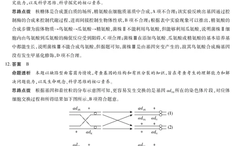 生物学安徽高三8月秋季检测答案_2025年8月_250830天一大联考&middot;安徽省2025-2026学年高三上学期8月秋季检测（全科）_天一大联考&middot;安徽省2025-2026学年高三上学期8月秋季检测生物