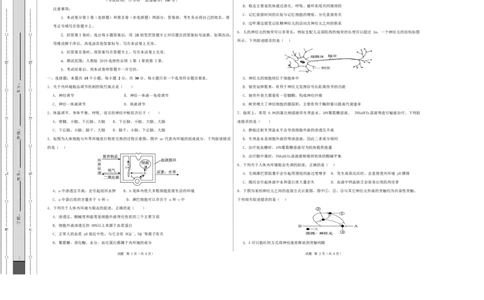 高二生物第一次月考卷多选题版测试范围：人教版2019选择性必修1第1章~第2章（考试版A3）_1多考区联考试卷_2510142025-2026学年高二生物上学期第一次月考试题