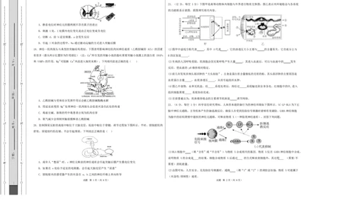 高二生物第一次月考卷多选题版测试范围：人教版2019选择性必修1第1章~第2章（考试版A3）_1多考区联考试卷_2510142025-2026学年高二生物上学期第一次月考试题