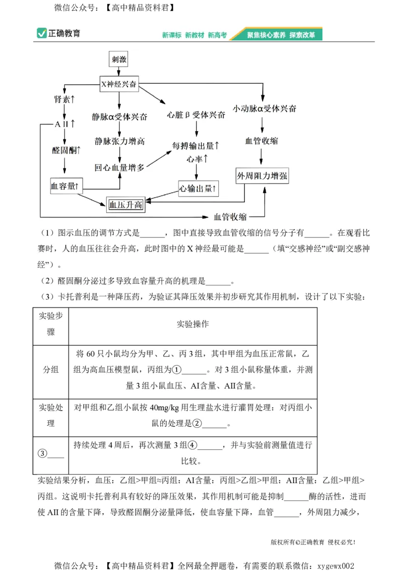 2024届明日之星高考生物精英模拟卷河北版_2024高考押题卷_72024正确教育全系列_2024明日之星全系列_（新高考）2024《明日之星&middot;高考精英模拟卷》（九科全）各一套