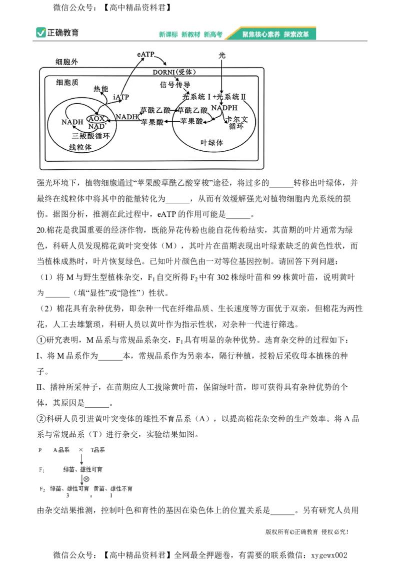 2024届明日之星高考生物精英模拟卷河北版_2024高考押题卷_72024正确教育全系列_2024明日之星全系列_（新高考）2024《明日之星&middot;高考精英模拟卷》（九科全）各一套