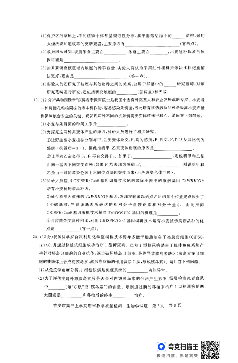 江西省吉安市2025届高三上学期1月期末教学质量检测生物+答案_2025年1月_250122江西省吉安市2025届高三上学期1月期末教学质量检测（全科）