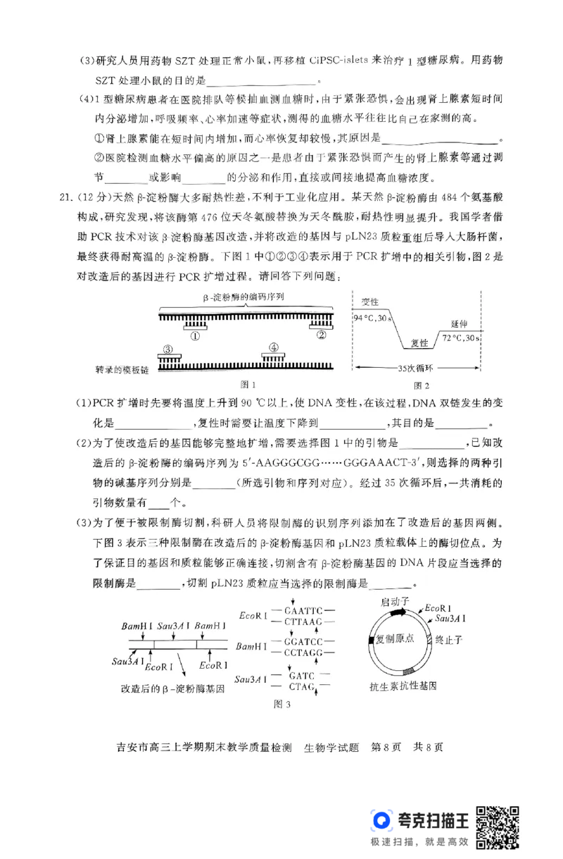 江西省吉安市2025届高三上学期1月期末教学质量检测生物+答案_2025年1月_250122江西省吉安市2025届高三上学期1月期末教学质量检测（全科）