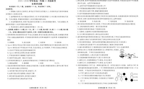 高二生物正文（2025-2026学年度11月份联考）(1)_1多考区联考_251122衡水金卷&middot;2025-2026学年度高二上学期11月份联考（全）
