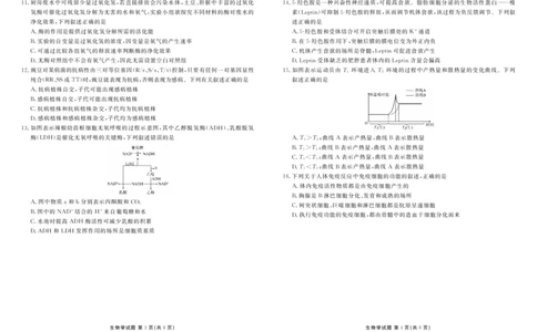 高二生物正文（2025-2026学年度11月份联考）(1)_1多考区联考_251122衡水金卷&middot;2025-2026学年度高二上学期11月份联考（全）