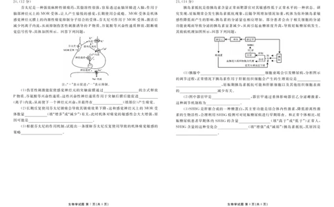 高二生物正文（2025-2026学年度11月份联考）(1)_1多考区联考_251122衡水金卷&middot;2025-2026学年度高二上学期11月份联考（全）