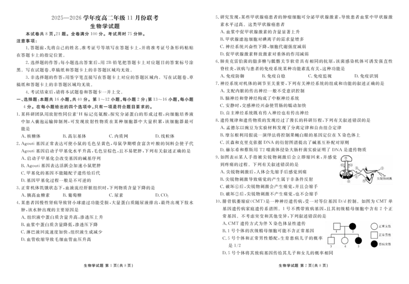 高二生物正文（2025-2026学年度11月份联考）(1)_1多考区联考_251122衡水金卷&middot;2025-2026学年度高二上学期11月份联考（全）