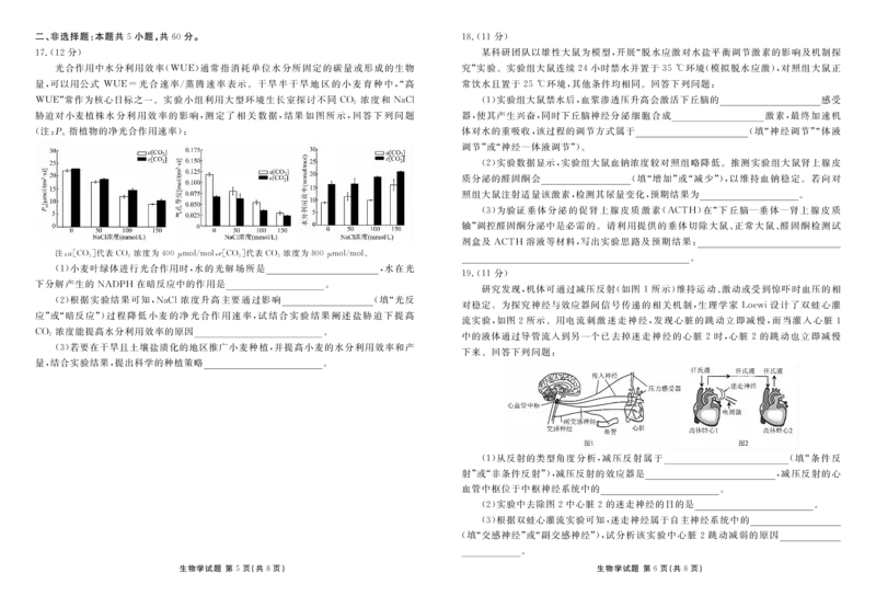 高二生物正文（2025-2026学年度11月份联考）(1)_1多考区联考_251122衡水金卷&middot;2025-2026学年度高二上学期11月份联考（全）