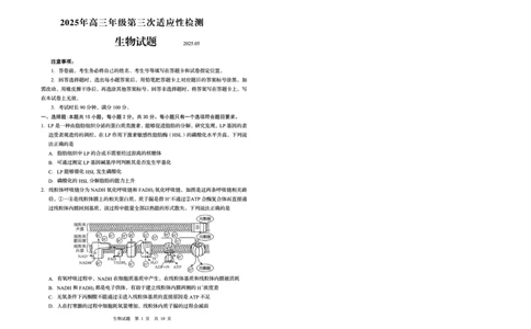 山东省青岛市2025年高三年级第三次适应性检测生物_2025年5月_250529山东省青岛市2025年高三年级第三次适应性检测（青岛三模）（全科）
