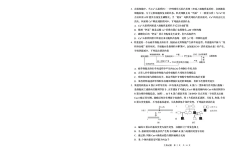 山东省青岛市2025年高三年级第三次适应性检测生物_2025年5月_250529山东省青岛市2025年高三年级第三次适应性检测（青岛三模）（全科）