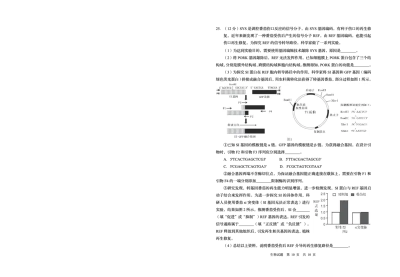 山东省青岛市2025年高三年级第三次适应性检测生物_2025年5月_250529山东省青岛市2025年高三年级第三次适应性检测（青岛三模）（全科）
