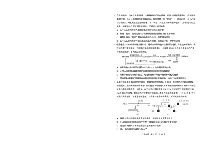山东省青岛市2025年高三年级第三次适应性检测生物_2025年5月_250529山东省青岛市2025年高三年级第三次适应性检测（青岛三模）（全科）