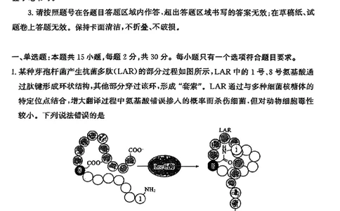 山东省滨州市2025届高三下学期第二次模拟考试生物_2025年5月_250514山东省滨州市2025届高三下学期第二次模拟考试（滨州二模）（全科）