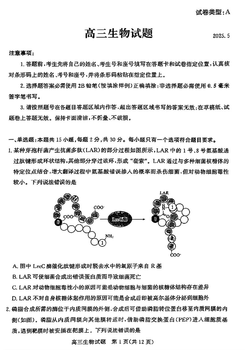 山东省滨州市2025届高三下学期第二次模拟考试生物_2025年5月_250514山东省滨州市2025届高三下学期第二次模拟考试（滨州二模）（全科）