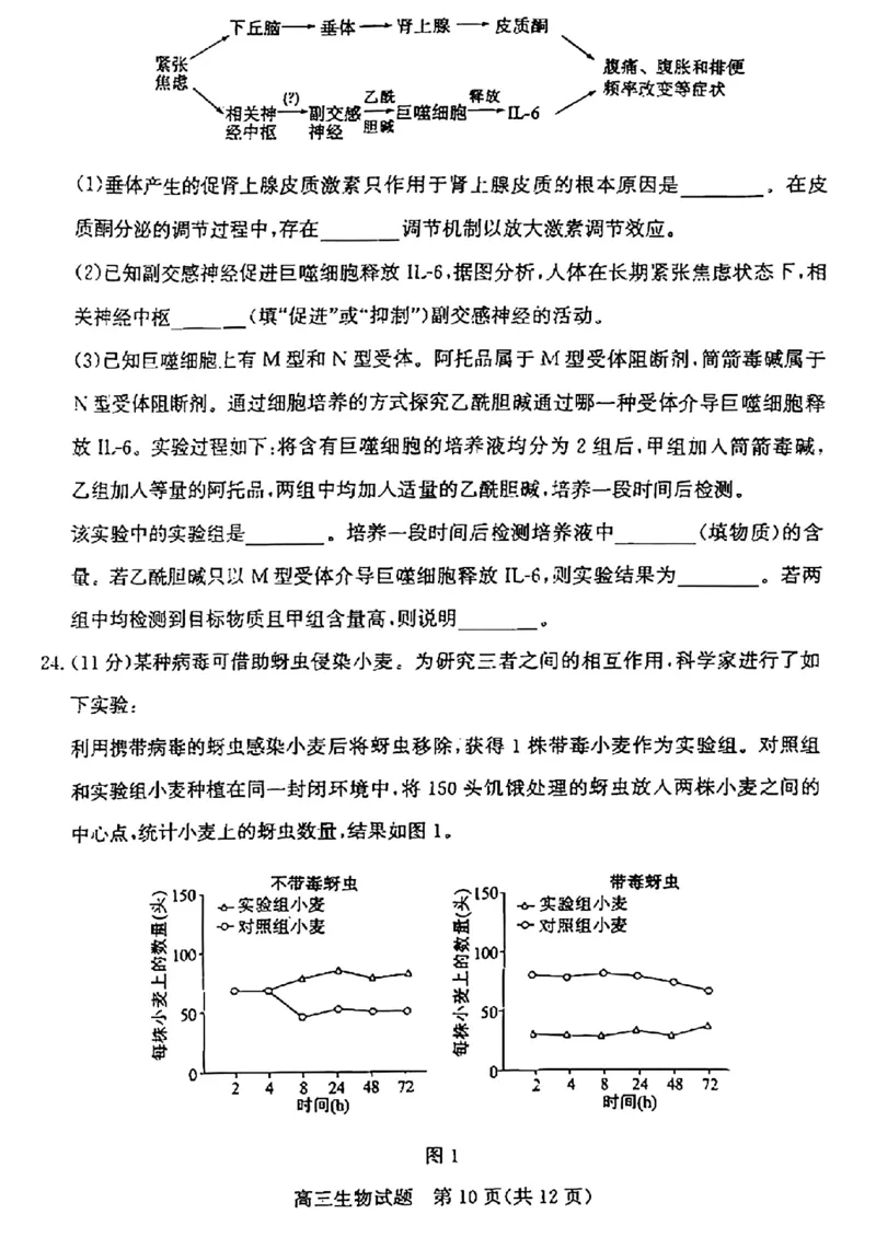 山东省滨州市2025届高三下学期第二次模拟考试生物_2025年5月_250514山东省滨州市2025届高三下学期第二次模拟考试（滨州二模）（全科）