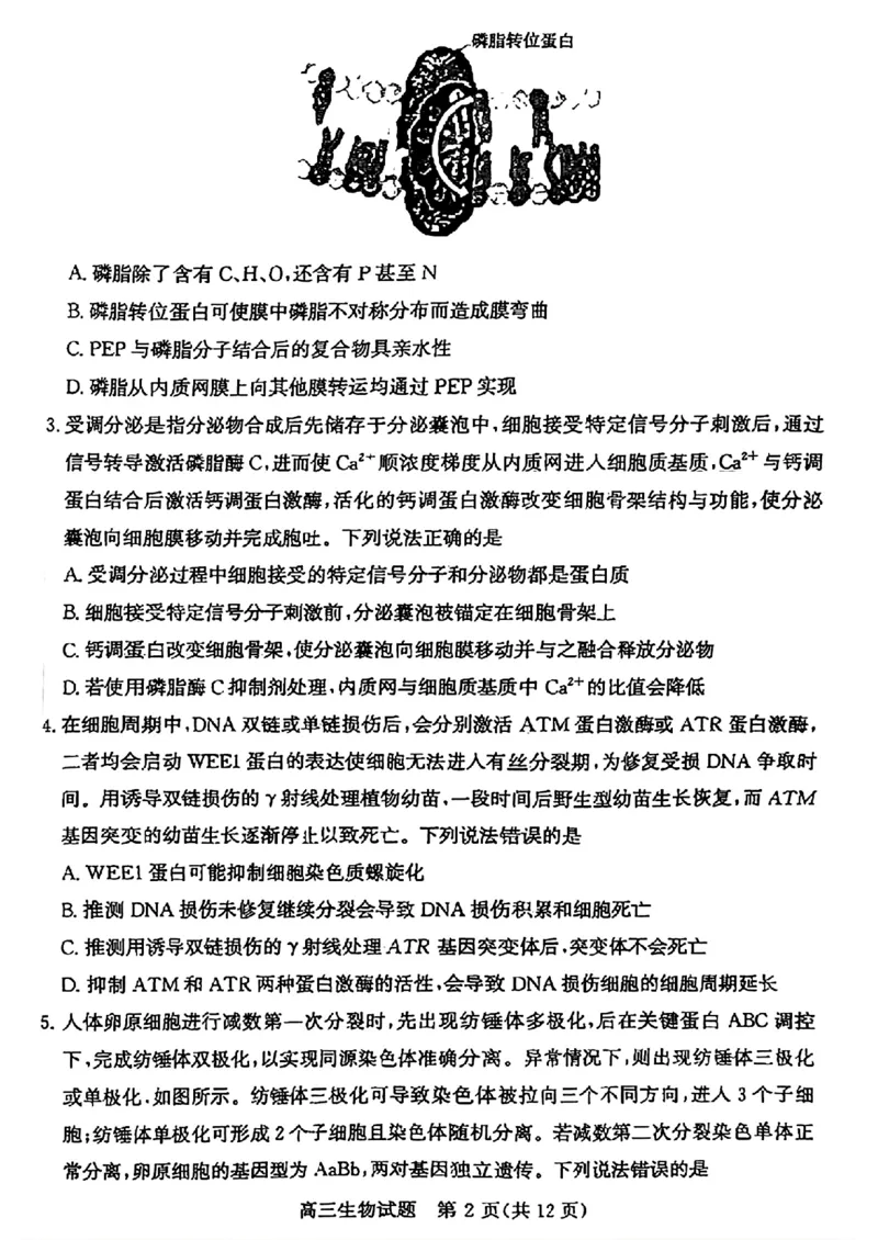 山东省滨州市2025届高三下学期第二次模拟考试生物_2025年5月_250514山东省滨州市2025届高三下学期第二次模拟考试（滨州二模）（全科）