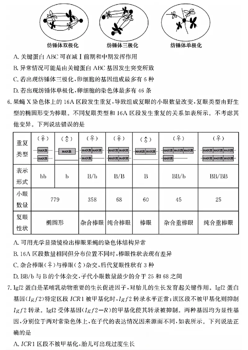山东省滨州市2025届高三下学期第二次模拟考试生物_2025年5月_250514山东省滨州市2025届高三下学期第二次模拟考试（滨州二模）（全科）